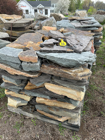 Standup True Blue Flagstone 15 – Adirondack Landscape Supply
