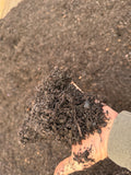 Screened Compost per cubic yard